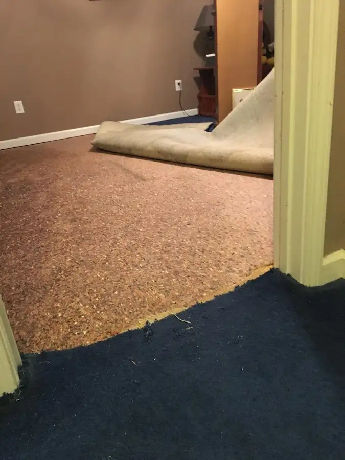 Carpet pad removal revealing water damage during Drying & Dehumidification in Doral